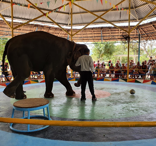 Đảo Khỉ Nha Trang 3