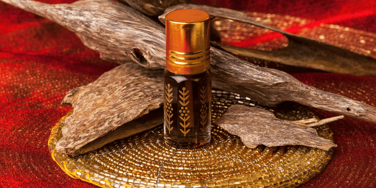 Tram Huong Khanh Hoa 2