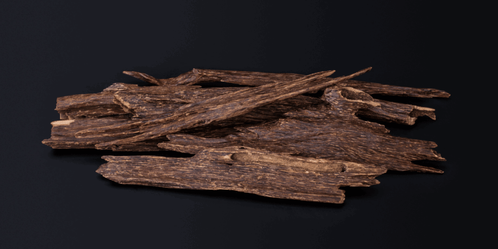 Tram Huong Khanh Hoa 3