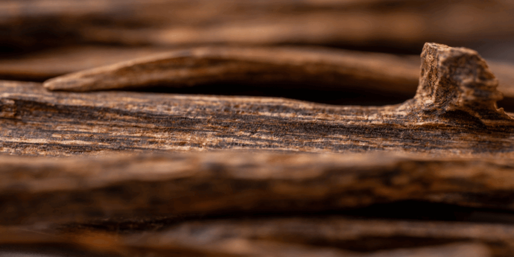 Tram Huong Khanh Hoa 4